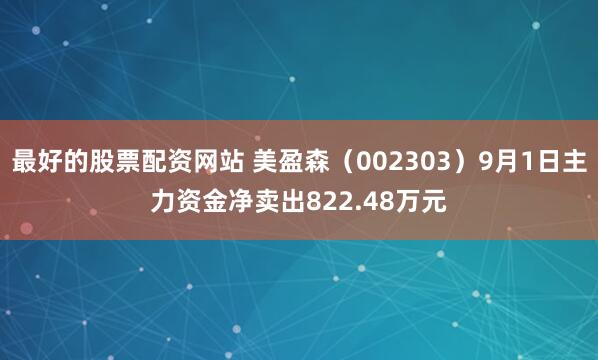 最好的股票配资网站 美盈森（002303）9月1日主力资金净卖出822.48万元