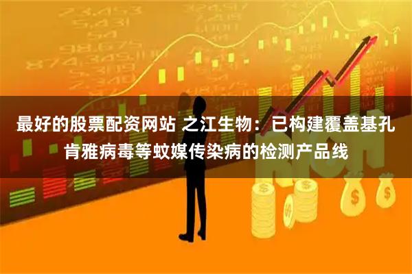 最好的股票配资网站 之江生物：已构建覆盖基孔肯雅病毒等蚊媒传染病的检测产品线