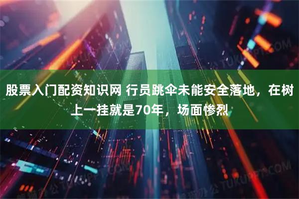 股票入门配资知识网 行员跳伞未能安全落地，在树上一挂就是70年，场面惨烈