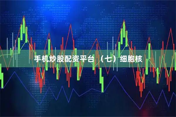 手机炒股配资平台 （七）细胞核